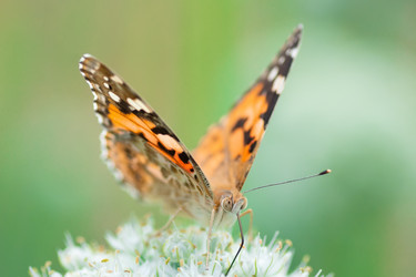 Similar image 22079788