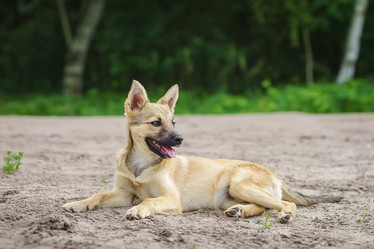 Similar image 22079805