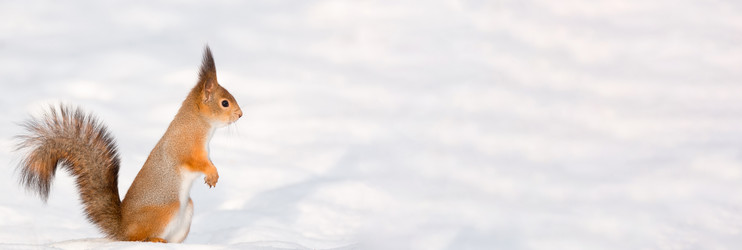 Similar image 22079835