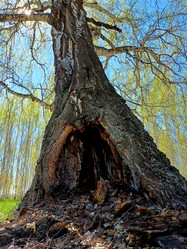 Similar image 22079223