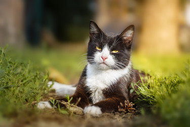 Similar image 22079001