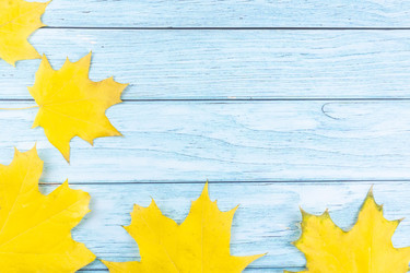 Similar image 22079063