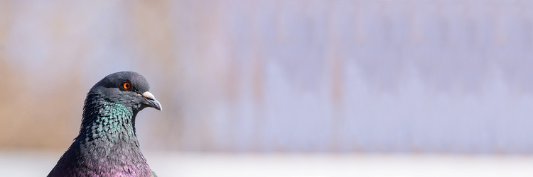 Similar image 22079075