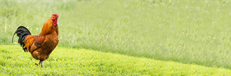 Similar image 22079478