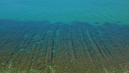 Similar image 22080178