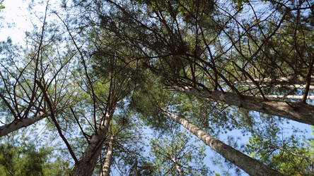 Similar image 22079246