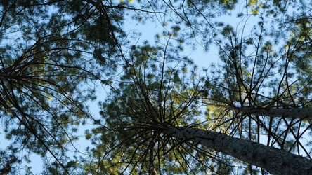 Similar image 22079247