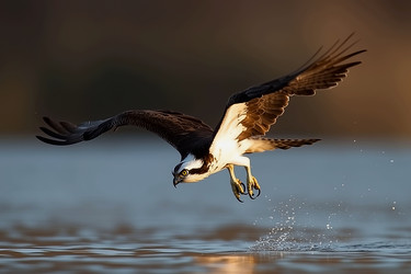 Similar image 22078899