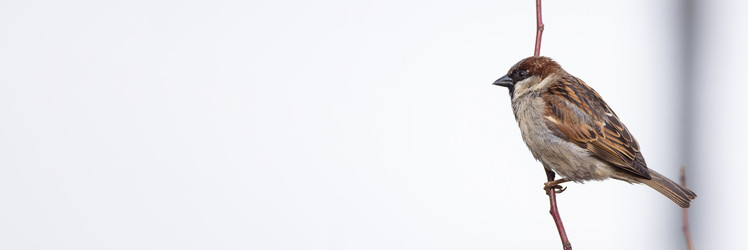 Similar image 22080069