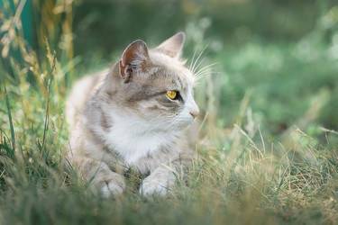 Similar image 22080070