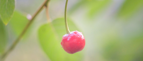 Similar image 22079867