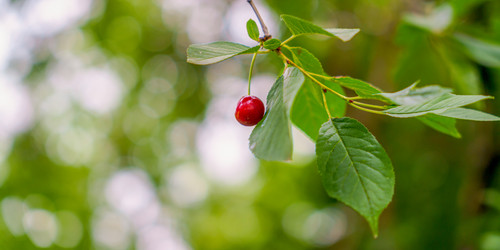 Similar image 22079869