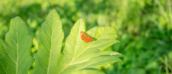 Similar image 22079870