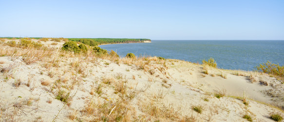 Similar image 22079871