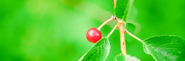 Similar image 22079874