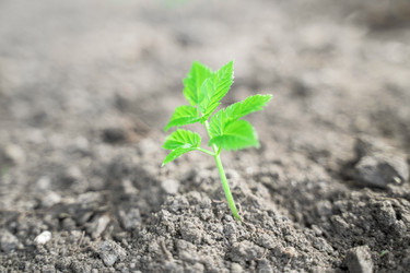 Similar image 22079876