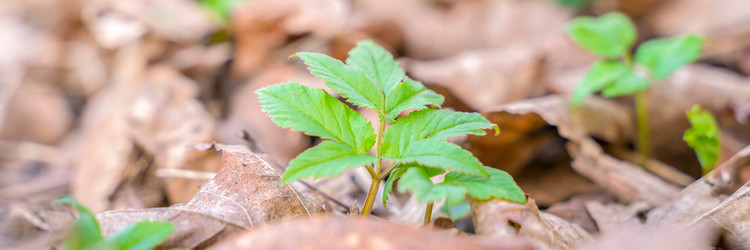 Similar image 22079878