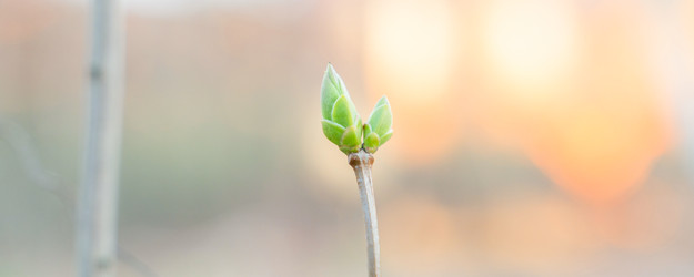 Similar image 22079879