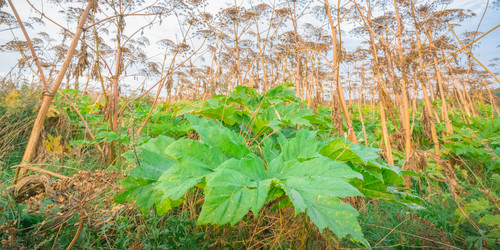 Similar image 22079880