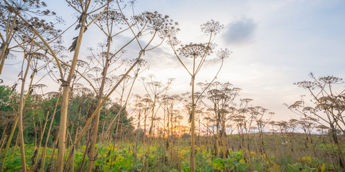 Similar image 22079881