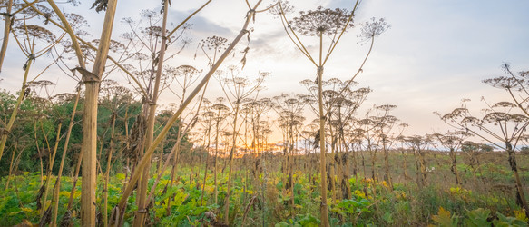 Similar image 22079882