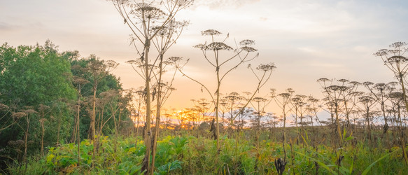 Similar image 22079883