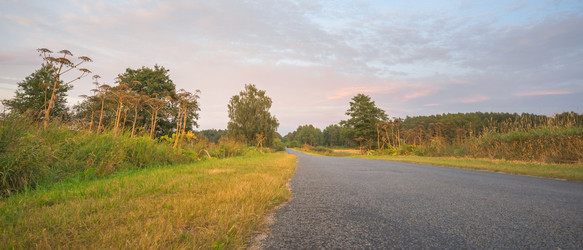 Similar image 22079887