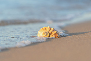 Similar image 22079890