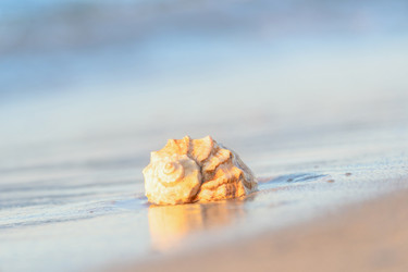 Similar image 22079892