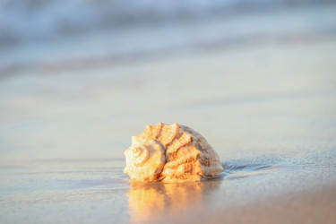 Similar image 22079893