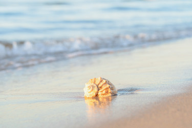 Similar image 22079894