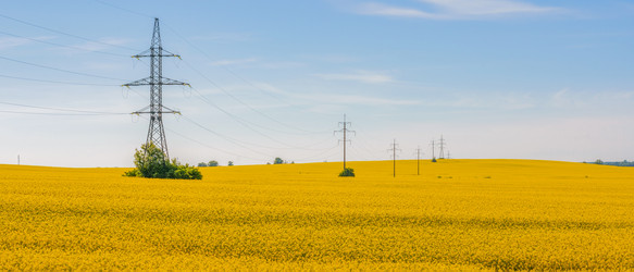 Similar image 22079895