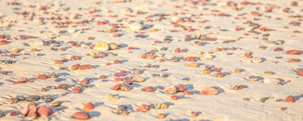 Similar image 22079910