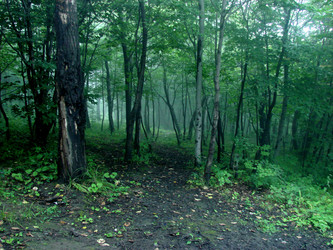 Similar image 22079922