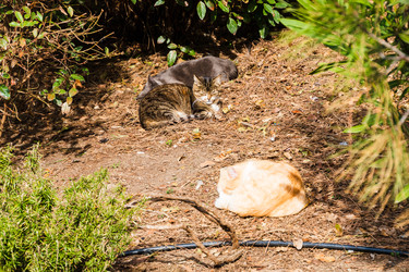 Similar image 22084142