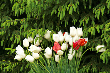 Similar image 22079926