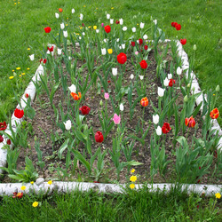 Similar image 22079927