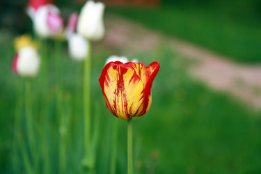 Similar image 22079929