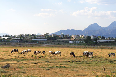 Similar image 22079932