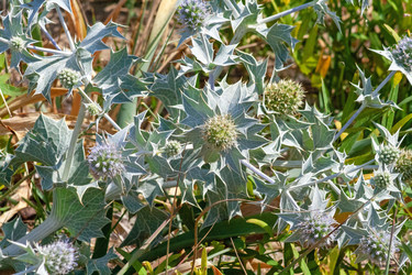 Similar image 22079935