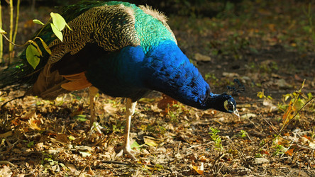 Similar image 22081171