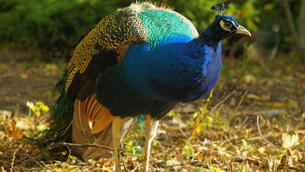 Similar image 22080187