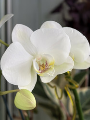 Similar image 22080191