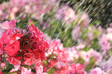 Similar image 22079969