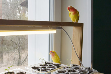 Similar image 22092497