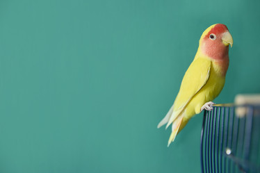 Similar image 22092498