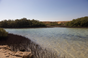 Similar image 22079977