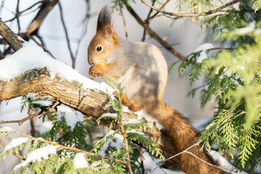 Similar image 22081793