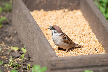 Similar image 22081795