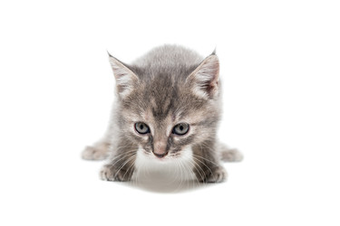 Similar image 22081797